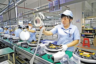 發(fā)現(xiàn)龍華之美 產(chǎn)業(yè)園區(qū)中科技的魅力無限